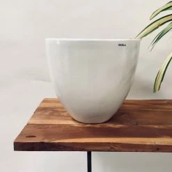 Exotic Flora Pots & Planters Echoing Eternity (Slim) - White 6 Exotic Flora Pots & Planters Echoing Eternity (Slim) - White