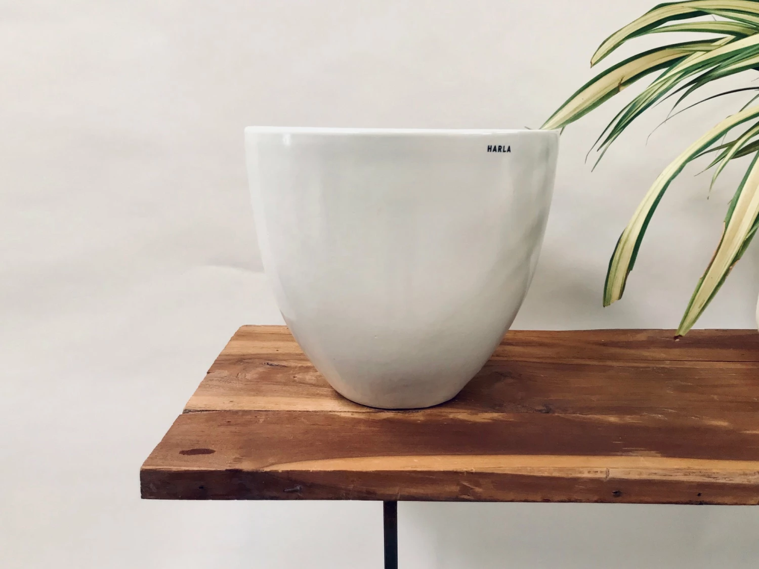 Exotic Flora Pots & Planters Echoing Eternity (Slim) - White 3 Exotic Flora Pots & Planters Echoing Eternity (Slim) - White