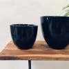 Exotic Flora Pots & Planters Echoing Eternity (Slim) - Black
