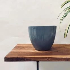 Exotic Flora Echoing Eternity (Slim) - Grey Pots & Planters