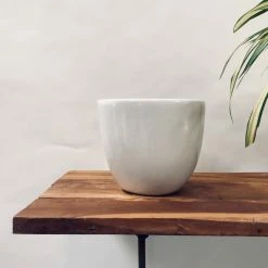 Exotic Flora Pots & Planters Echoing Eternity (Slim) - White