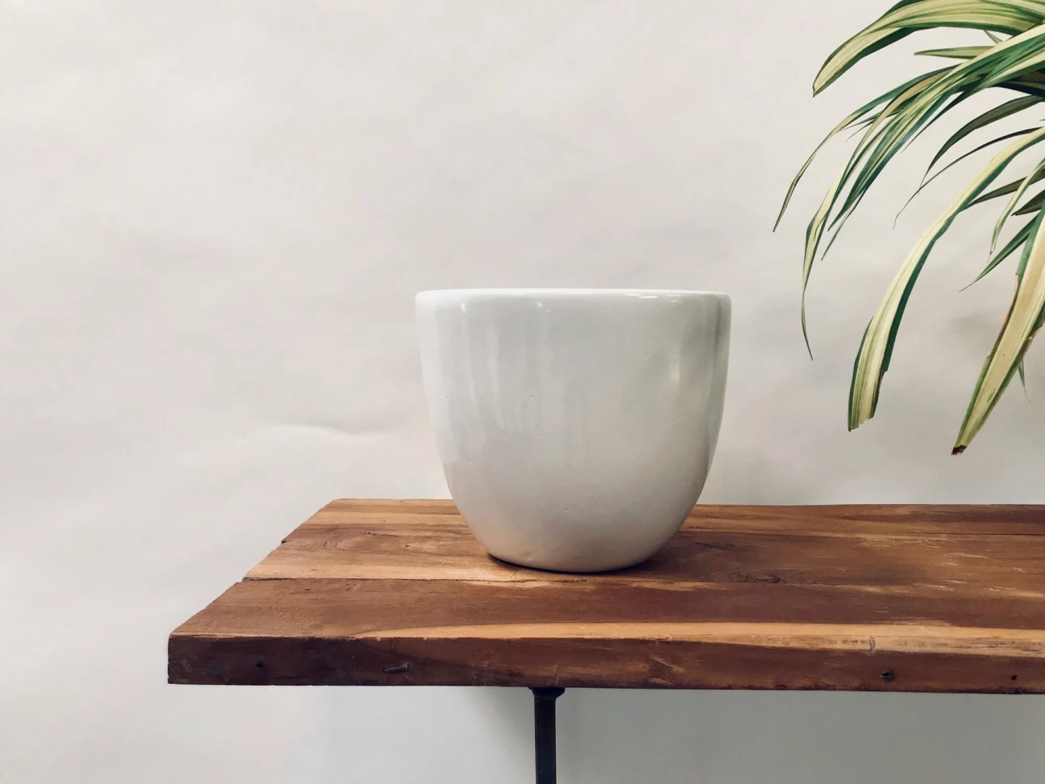 Exotic Flora Pots & Planters Echoing Eternity (Slim) - White 2 Exotic Flora Pots & Planters Echoing Eternity (Slim) - White