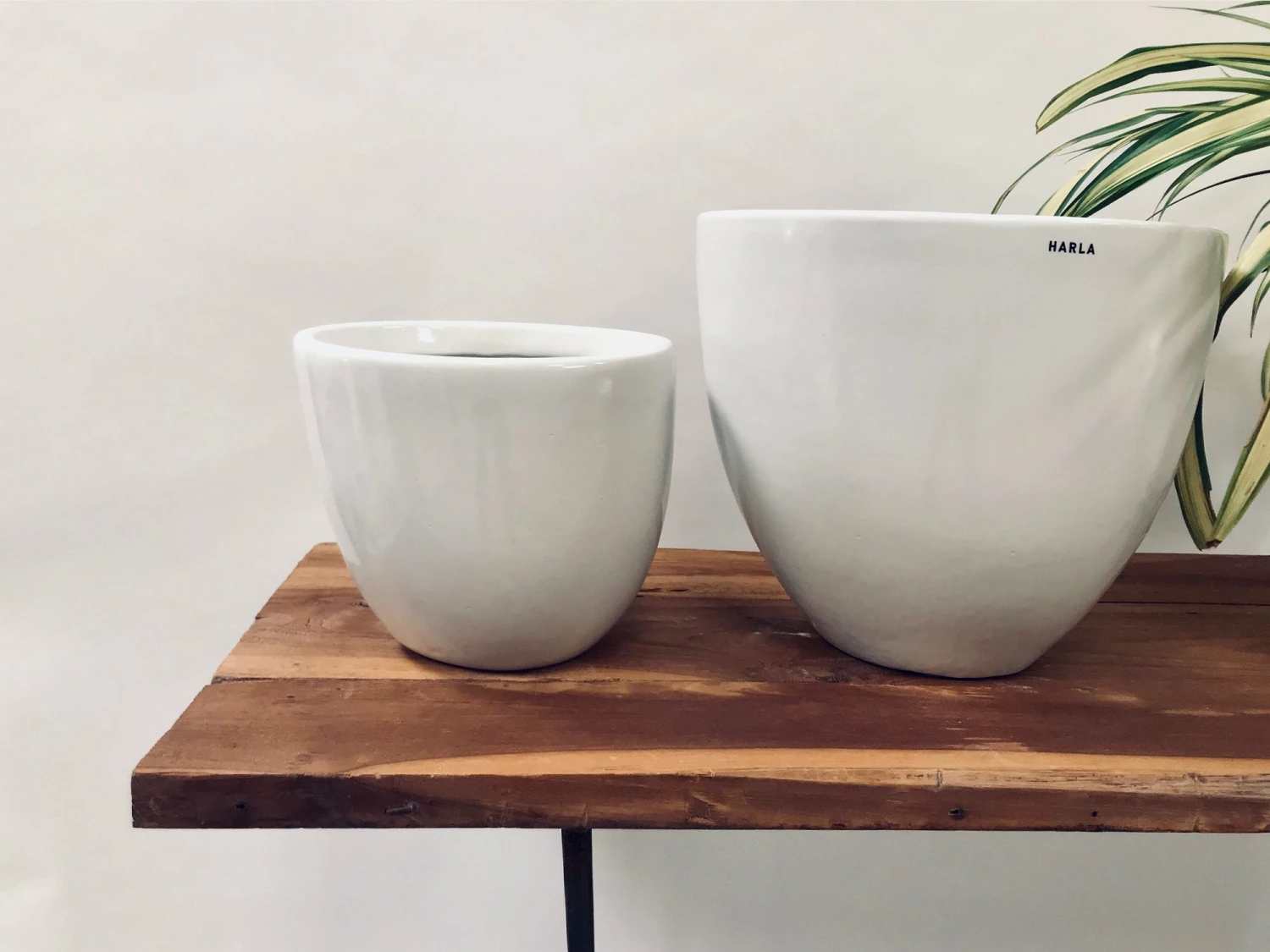 Exotic Flora Pots & Planters Echoing Eternity (Slim) - White 1 Exotic Flora Pots & Planters Echoing Eternity (Slim) - White