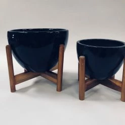 Exotic Flora Echoing Eternity (Fat) With Wooden Stands - Black