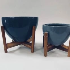 Exotic Flora Echoing Eternity (Fat) With Wooden Stands - Grey