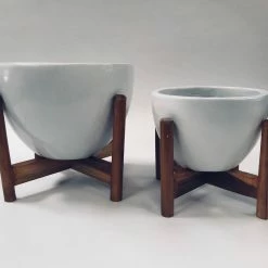 Exotic Flora Echoing Eternity (Fat) With Wooden Stands - White Pots & Planters