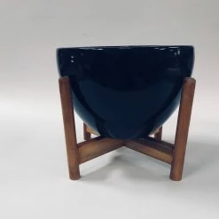 Exotic Flora Echoing Eternity (Fat) With Wooden Stands - Black