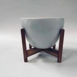 Exotic Flora Echoing Eternity (Fat) With Wooden Stands - White Pots & Planters