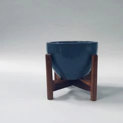 Exotic Flora Echoing Eternity (Fat) With Wooden Stands - Grey