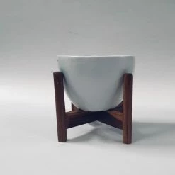 Exotic Flora Echoing Eternity (Fat) With Wooden Stands - White Pots & Planters