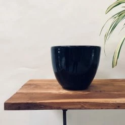 Exotic Flora Pots & Planters Echoing Eternity (Slim) - Black