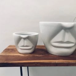 Exotic Flora Unwavered Love - Uncle Pots & Planters