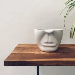 Exotic Flora Unwavered Love - Uncle Pots & Planters