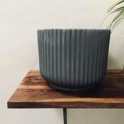 Exotic Flora Pots & Planters Pheonix - Grey