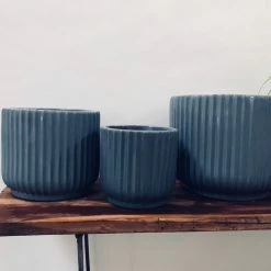 Exotic Flora Pots & Planters Pheonix - Grey