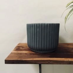 Exotic Flora Pots & Planters Pheonix - Grey