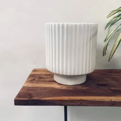 Exotic Flora Dark Affinity - White Pots & Planters