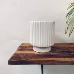 Exotic Flora Dark Affinity - White Pots & Planters