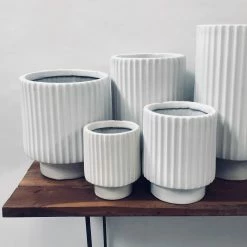 Exotic Flora Dark Affinity - White Pots & Planters