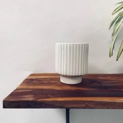 Exotic Flora Dark Affinity - White Pots & Planters