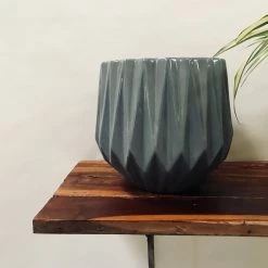 Exotic Flora Pots & Planters Precious Horcrux - Grey 6 Exotic Flora Pots & Planters Precious Horcrux - Grey