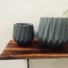 Exotic Flora Pots & Planters Precious Horcrux - Grey