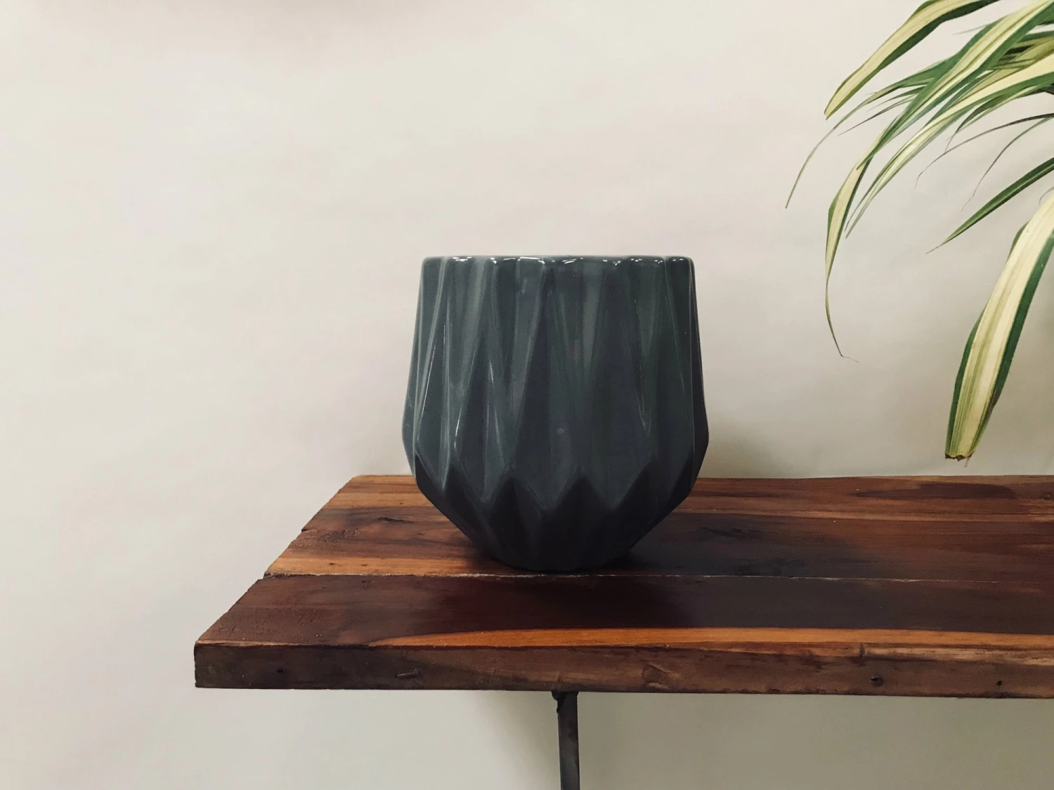 Exotic Flora Pots & Planters Precious Horcrux - Grey 2 Exotic Flora Pots & Planters Precious Horcrux - Grey