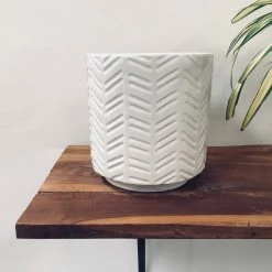 Exotic Flora Loved Flowers - White Pots & Planters