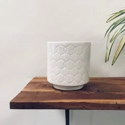 Exotic Flora Loved Flowers - White Pots & Planters