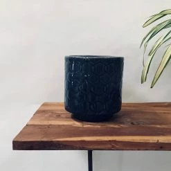 Exotic Flora Loved Flowers - Grey Pots & Planters