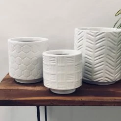 Exotic Flora Loved Flowers - White Pots & Planters