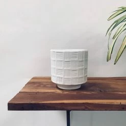 Exotic Flora Loved Flowers - White Pots & Planters