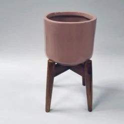 Exotic Flora Crimson Sky With Wooden Stand Pots & Planters