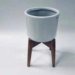 Exotic Flora Crimson Sky With Wooden Stand Pots & Planters