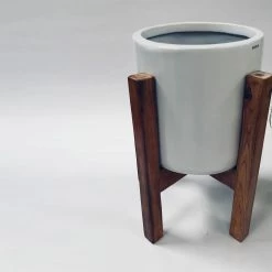 Exotic Flora Pots & Planters Gleaming Stars With Wooden Stand