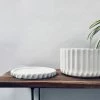 Exotic Flora Pots & Planters Fleeting Bliss - Medium - White