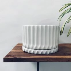 Exotic Flora Pots & Planters Fleeting Bliss - Medium - White