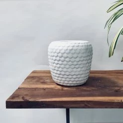 Exotic Flora Silk Thread - Small - White Pots & Planters