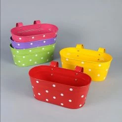 Exotic Flora Set Of Five12'' Polka Dot Oval Planters