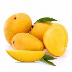 Exoticflora Grafted Fruit Plants Mango Kesar (Grafted)- Fruit Plants & Tree