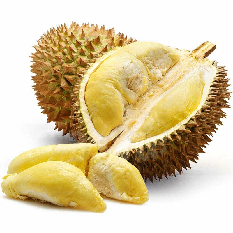 Exoticflora Exotic Fruit Plants Durian Fruit - Fruit Plants & Tree 1 Exoticflora Exotic Fruit Plants Durian Fruit - Fruit Plants & Tree