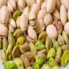 Exoticflora Pistachio (Grafted) -Fruit Plants & Tree Grafted Fruit Plants