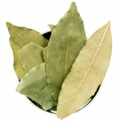 Exoticflora Kitchen Plants & Spice Plants Cinnamomum Tamala/Tejpatta/Indian Bay Leaf - Kitchen & Spice Plants