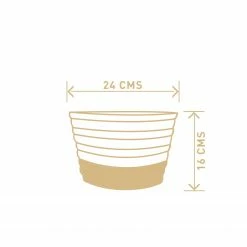 Exotic Flora Love Bite Proto - White And Brown Pots & Planters