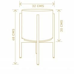 Exotic Flora Pots & Planters Gleaming Stars With Wooden Stand
