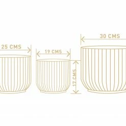 Exotic Flora Pots & Planters Pheonix - Grey