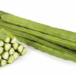 Exoticflora Drum Stick PKM - Fruit Plants & Tree