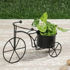 Exotic Flora Small Cycle Planter Black