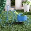 Exotic Flora Big Cycle Planter Blue
