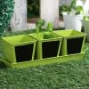 Exotic Flora Set Of Three Chalk Board Painted Herb Pots Green